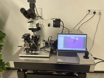 2D Heterostructure Transfer System