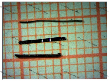 Niobium Iridium Tetratelluride (NbIrTe₄)