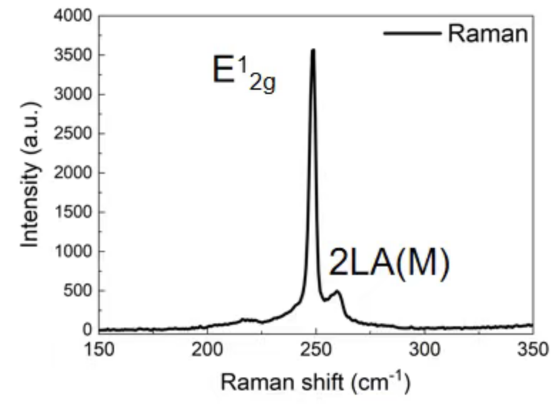 CVD-Grown Triangular Monolayer WSe₂ Single Crystals