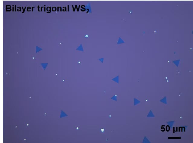 CVD-Grown Bilayer Triangular WS₂ Single Crystals