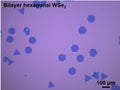 CVD-Grown Bilayer Hexagonal WSe₂ Single Crystals