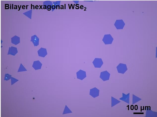CVD-Grown Bilayer Hexagonal WSe₂ Single Crystals