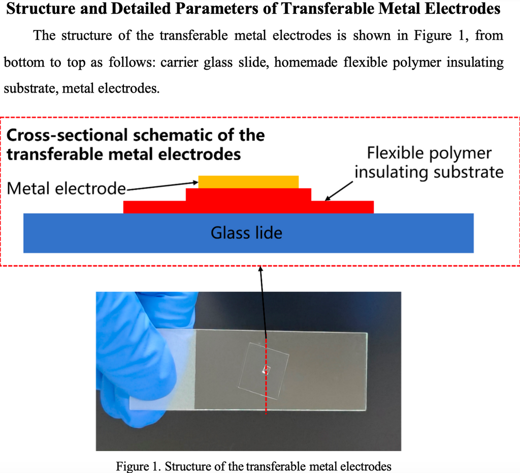 Transferable Metal Electrodes