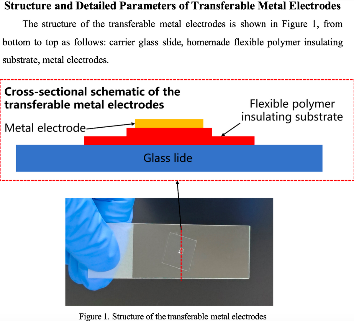 Transferable Metal Electrodes
