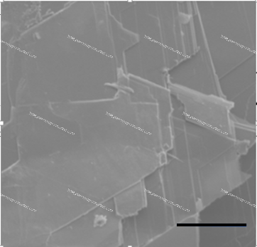 NiPS3（NICKEL PHOSPHORUS SULFIDE）
