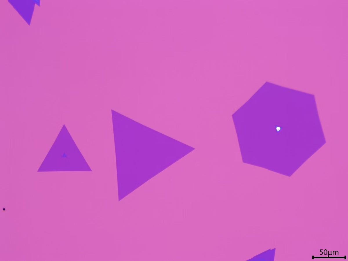 CVD-Grown Triangular Monolayer WS₂ Single Crystals