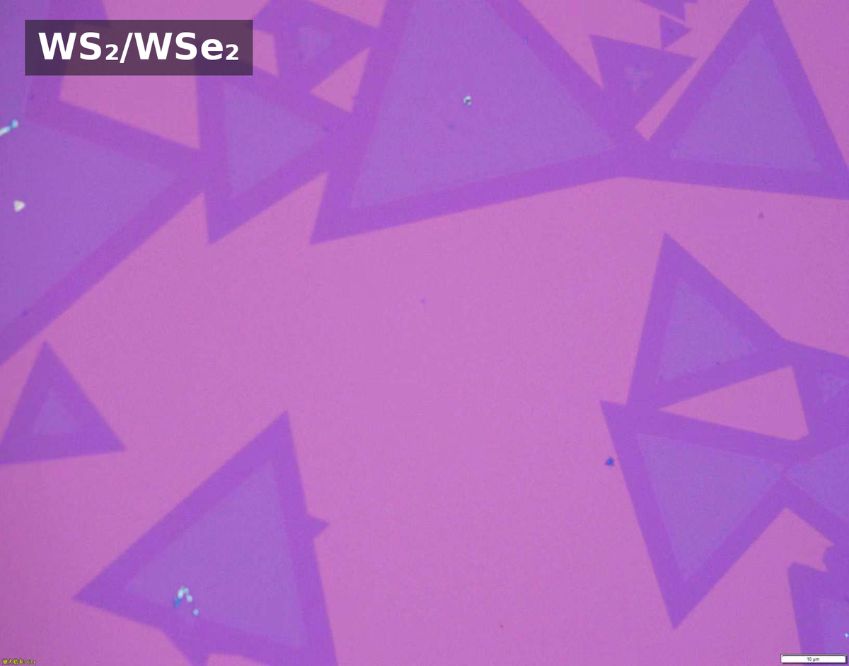 Monolayer Lateral Heterostructure Single Crystals