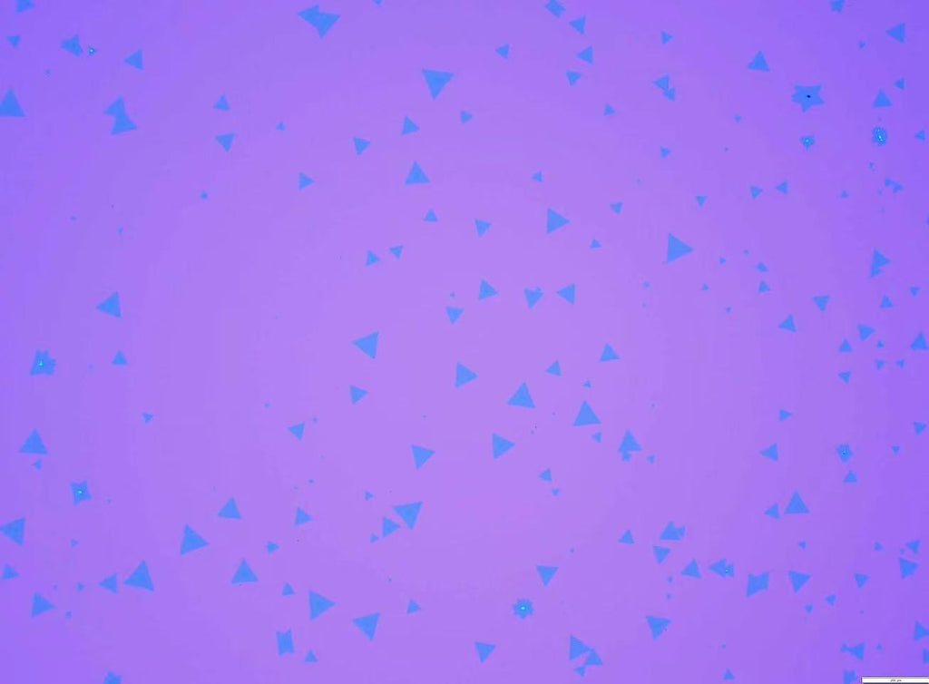 CVD-Grown Triangular Monolayer WSe₂ Single Crystals