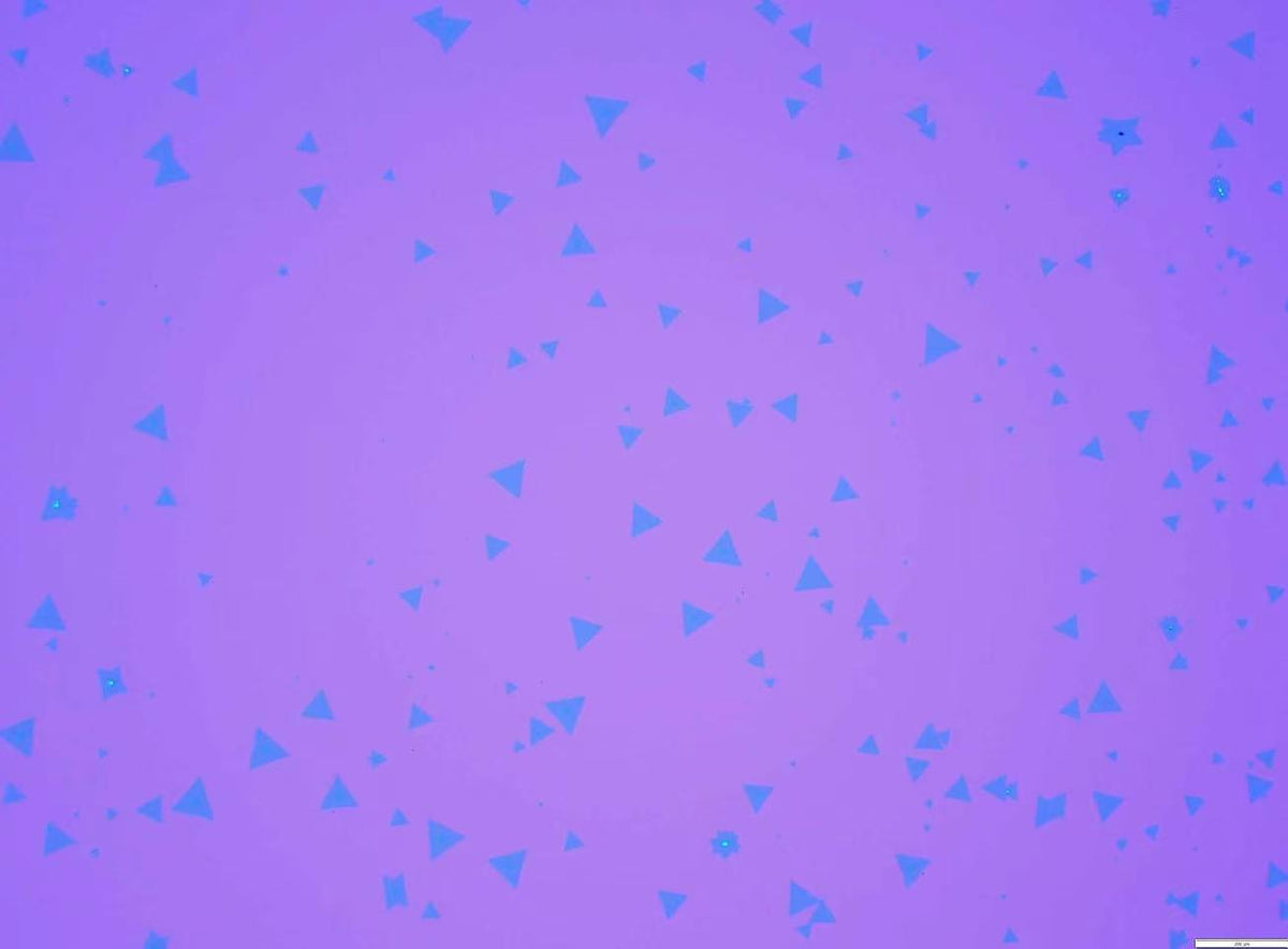 CVD-Grown Triangular Monolayer WSe₂ Single Crystals