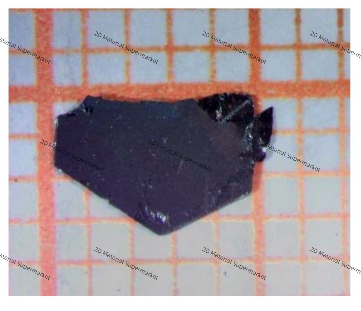 Niobium Ditelluride (NbTe₂)