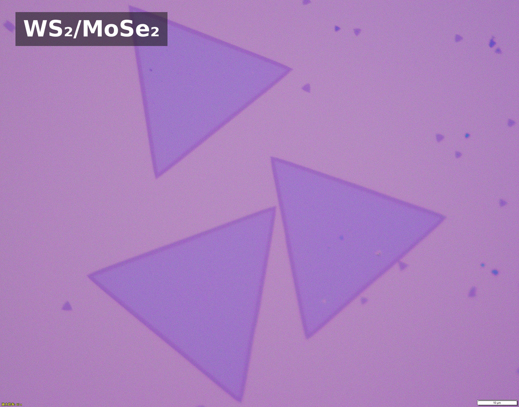 Monolayer Lateral Heterostructure Single Crystals
