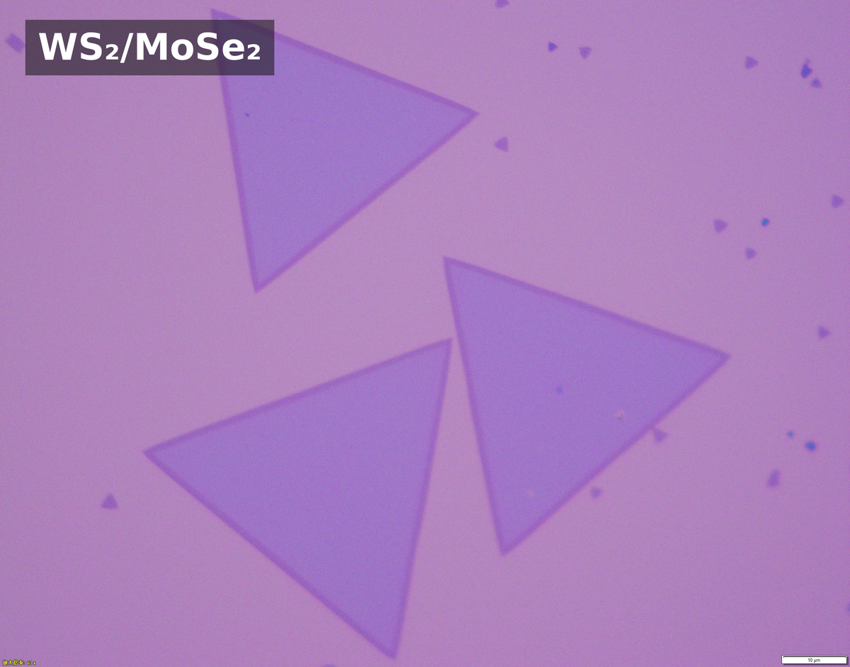 Monolayer Lateral Heterostructure Single Crystals