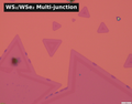 WS₂/WSe₂ Multi-junction Lateral Heterostructure Single Crystals