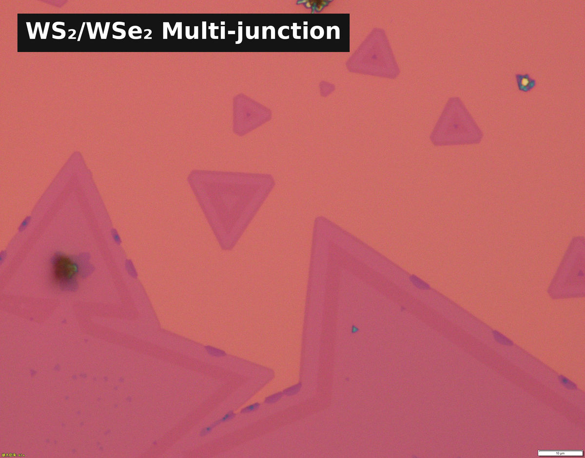 WS₂/WSe₂ Multi-junction Lateral Heterostructure Single Crystals