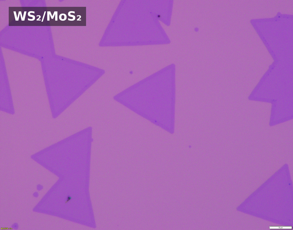 Monolayer Lateral Heterostructure Single Crystals