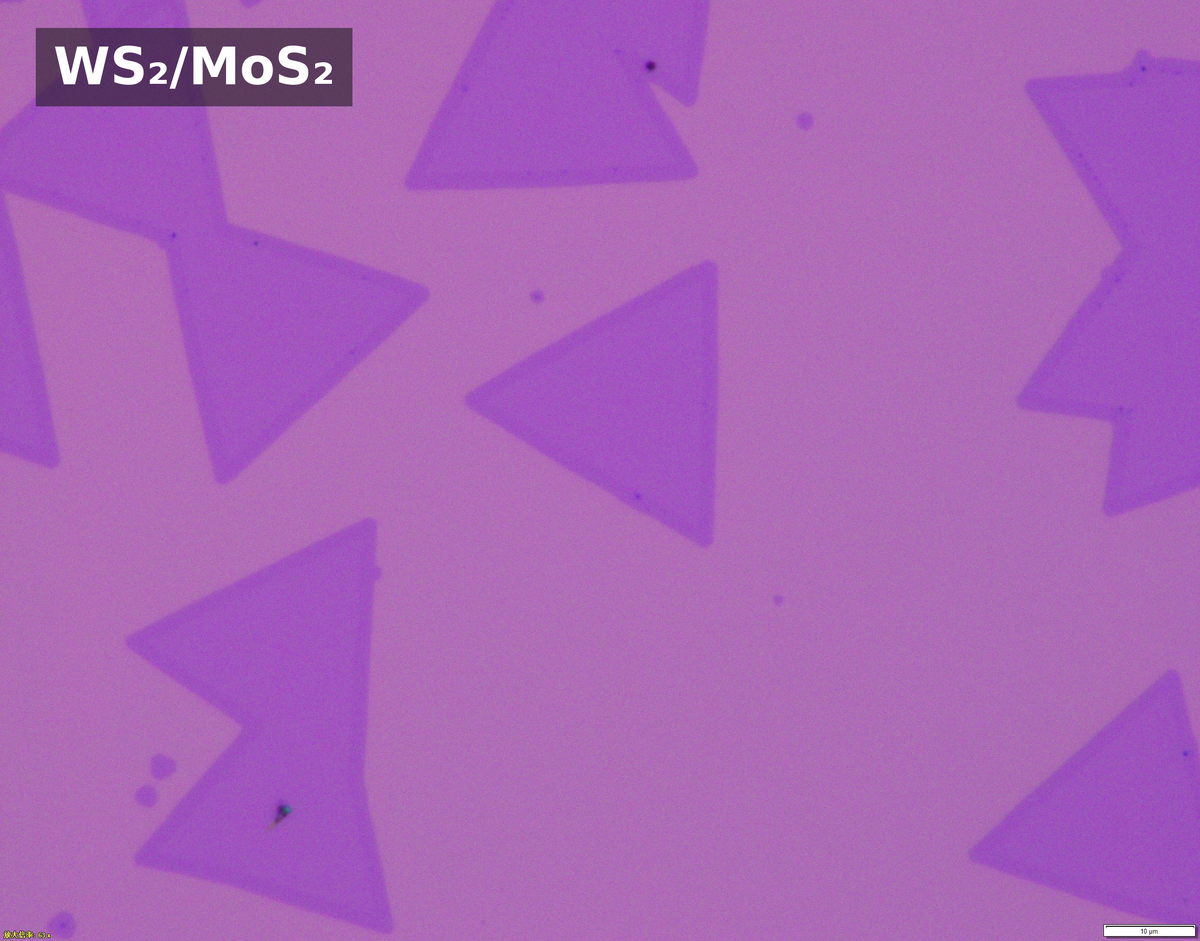 Monolayer Lateral Heterostructure Single Crystals
