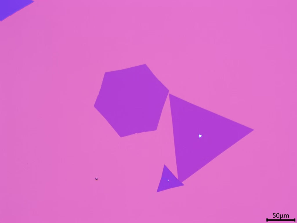 CVD-Grown Triangular Monolayer WS₂ Single Crystals