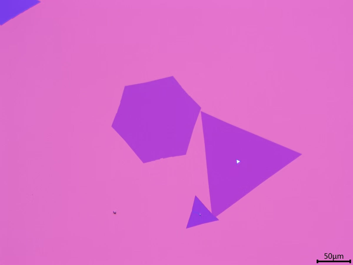 CVD-Grown Triangular Monolayer WS₂ Single Crystals