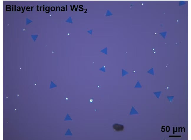 CVD-Grown Bilayer Triangular WS₂ Single Crystals