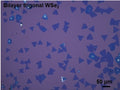 CVD-Grown Bilayer Triangular WSe₂ Single Crystals