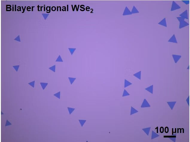 CVD-Grown Bilayer Triangular WSe₂ Single Crystals