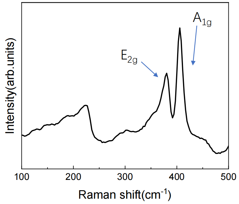 CVD-Grown Monolayer MoS₂ Thin Films